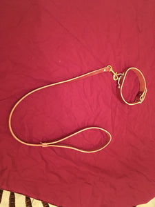 Classy Collar/Leash Combo